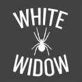 Graines de White Widow